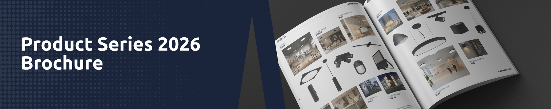 Pragmalux-Website-CMS-Banners7
